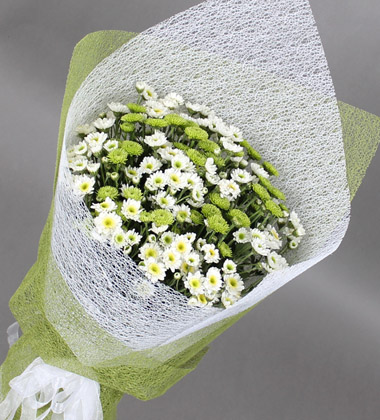 小雏菊花束A